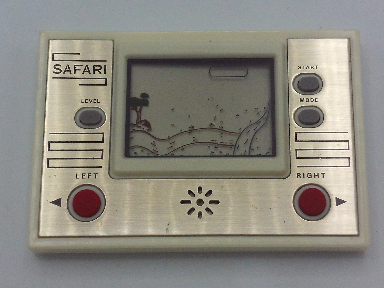 Safari