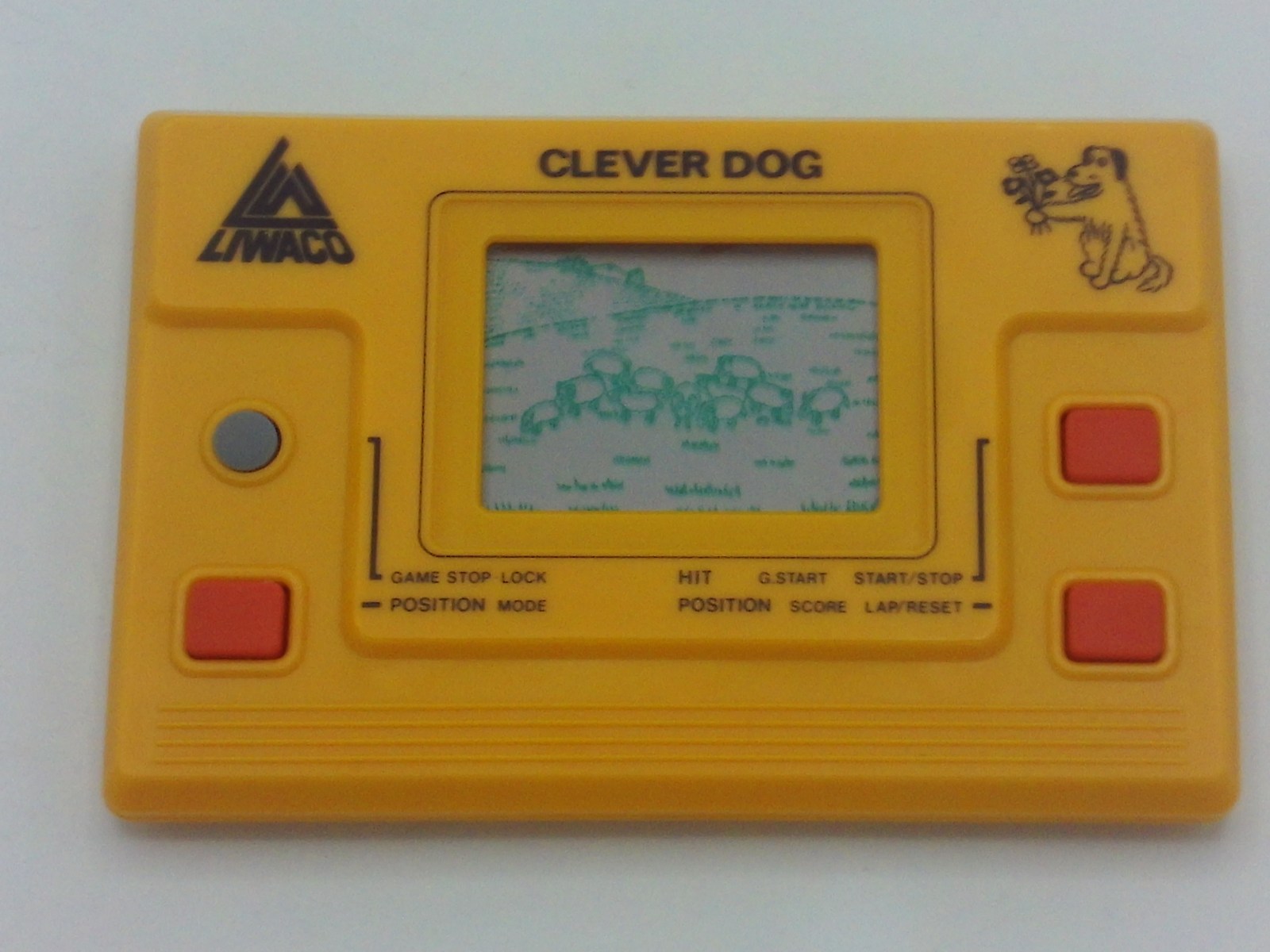 Clever Dog
